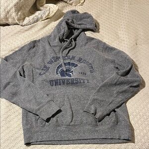 Gray University Logo Hoodie